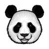 panda6607